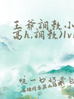 王爷调教小说(高h,调教)1v1