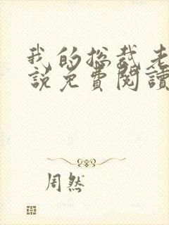 我的总裁老婆小说免费阅读