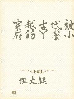 穿越古代被放出府的丫鬟小说