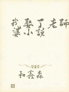 我娶了老师当老婆小说