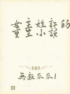 女主姓许的古代重生小说