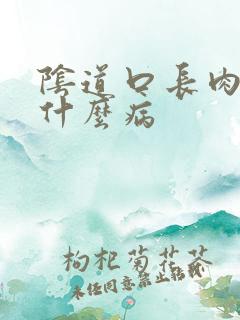 阴道口长肉刺是什么病