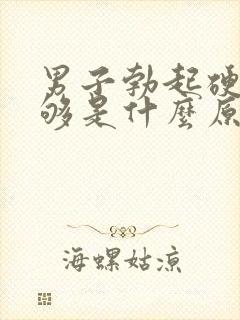 男子勃起硬度不够是什么原因