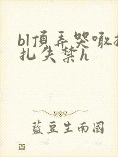 bl顶弄哭喊挣扎失禁h