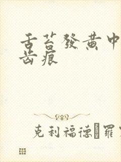 舌苔发黄中间有齿痕