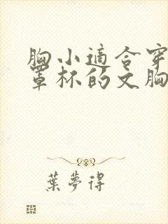 胸小适合穿什么罩杯的文胸