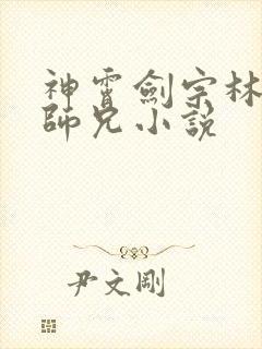 神霄剑宗林枫大师兄小说