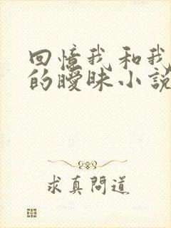 回忆我和我母亲的暧昧小说
