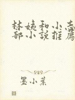 林姨和小志的全部小说推荐