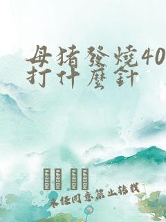 母猪发烧40度打什么针