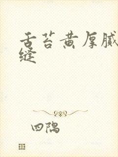 舌苔黄厚腻有裂缝