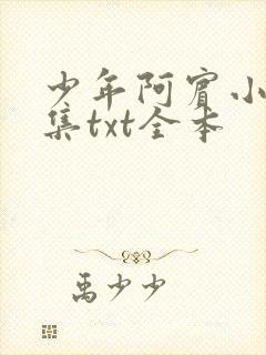 少年阿宾小说全集txt全本