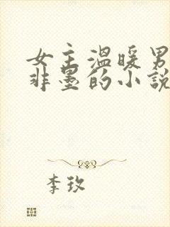 女主温暖男主叶非墨的小说