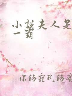 小说夫人是京城一霸