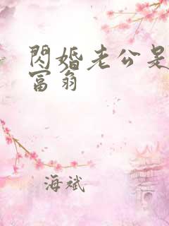 闪婚老公是亿万富翁