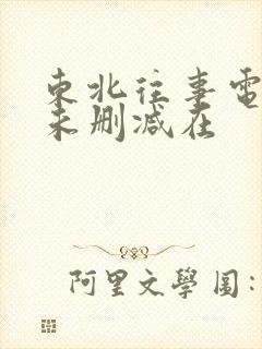 东北往事电视剧未删减在