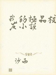 我的极品校花女友小说