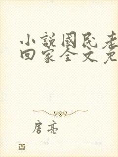 小说国民老公带回家全文免费阅读