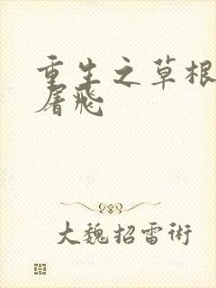 重生之草根太子屠飞
