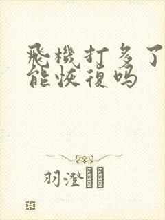 飞机打多了变小能恢复吗