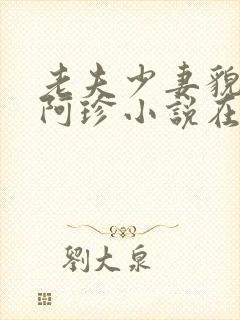 老夫少妻貌美的阿珍小说在线阅读