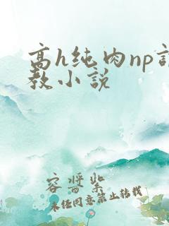高h纯肉np调教小说