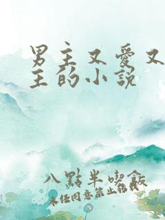 男主又爱又恨女主的小说