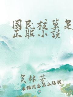 国民校草是女生正版小说