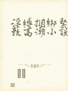 淫缚捆绑紧缚调教高潮小说