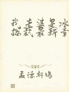 我老婆是冰山女总裁最新章节阅读