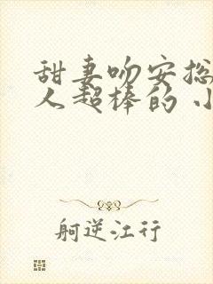 甜妻吻安总裁大人超棒的 小说