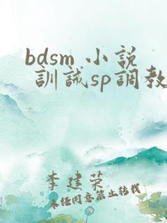 bdsm 小说 训诫sp调教