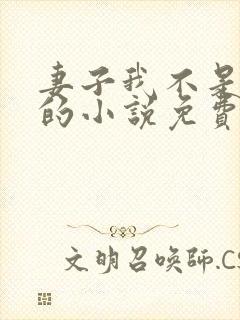 妻子我不是故意的小说免费阅读