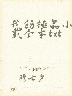 我的极品小姨下载全本txt