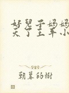 好儿子妈妈要升天了王平小说