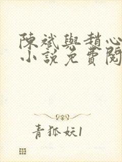 陈斌与赵心媚的小说免费阅读