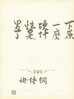 男性硬一下就软了是什么原因