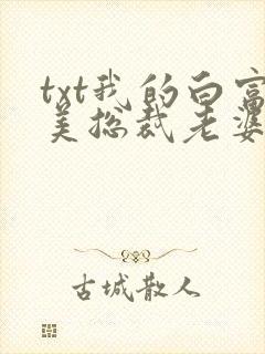 txt我的白富美总裁老婆下载