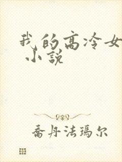 我的高冷女总裁 小说