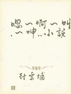 嗯～啊～叫...～呻..小说