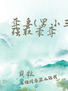 夺妻(男小三 强取豪夺