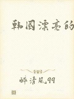 韩国漂亮的继母