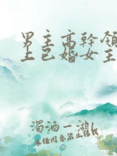 男主高干领导看上已婚女主