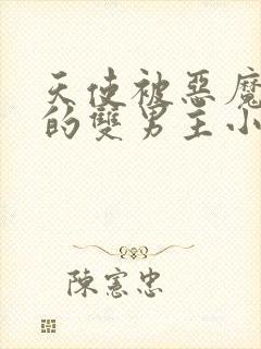 天使被恶魔囚禁的双男主小说