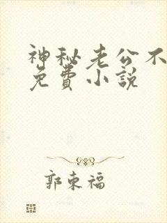 神秘老公不见面免费小说