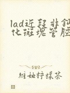 lad近段非钙化斑块管腔轻度狭窄