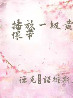 播放一级黄色录像带