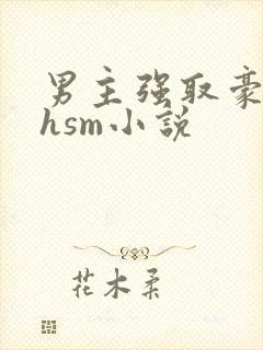 男主强取豪夺高hsm小说