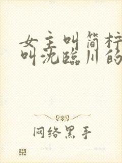 女主叫简柠男主叫沈临川的小说