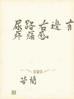 尿路右边有隐约疼痛感